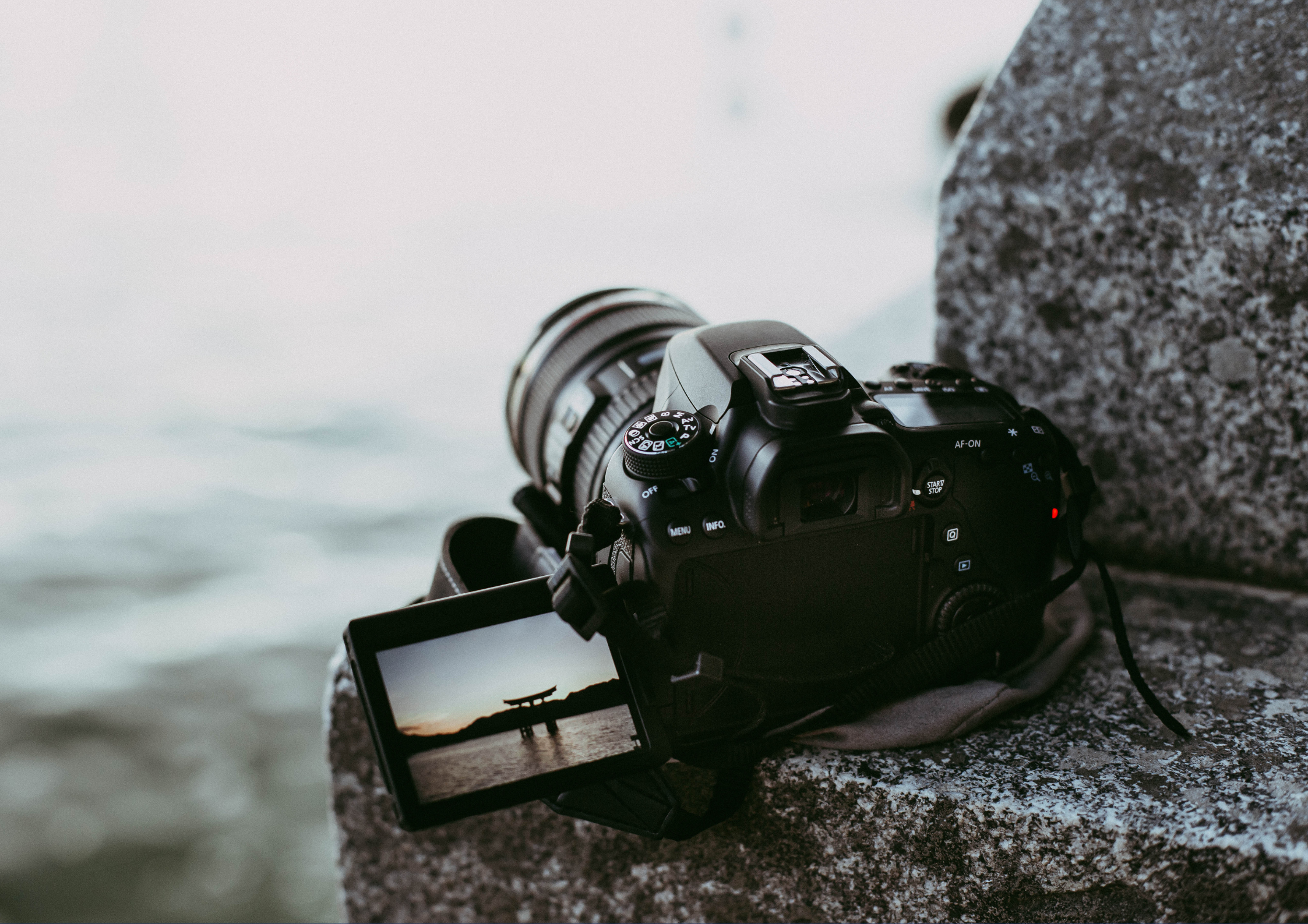 photo